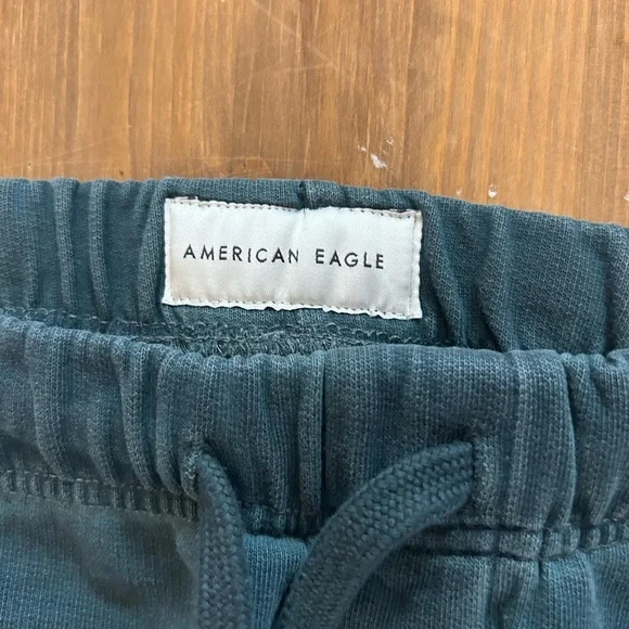 American Eagle Outfitters Teal Joggers Size M Streetwear Athleisure Distressed - Picture 4 of 15